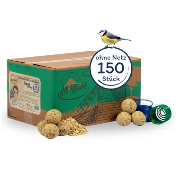 Pappkarton mit Vogelfutter, beschriftet mit "Vollkorn-Meisenknödel Nuss" mit vier Samenbällen, Erdnüssen und zwei hängenden Netzen.