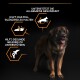 Adult Large Robust Everyday Nutrition Huhn & Reis 14 kg