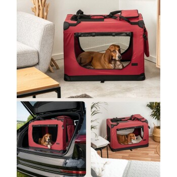 Ein verspielter Hund schaut aus einer roten Haustierbox mit Mesh-Seiten heraus, die ein weiches Innenleben und einen oberen Griff für einfachen Transport hat.