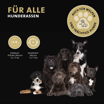 Bild von verschiedenen Hunderassen mit dem Text "FÜR ALLE HUNDERASSEN" und Ernährungsrichtlinien: "6-8 Wochen: 2g/5kg, Täglich: 1g/5kg".