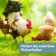 Quiko Hobby Farming Mineralgritstein-Paket, das das natürliche Pickverhalten von Hühnern fördert, 900 g, mit Hühnern im Hintergrund.