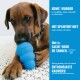 Bruine puppy kauwt op een blauw KONG-speelgoed; blauw zijpaneel vermeldt 'KONG‑RUBBER' en 'Het splintert niet'.