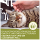 Eine entspannte getigerte Katze, die sanft gestreichelt wird, mit einem Text, der ein ausgewogenes Verhältnis von Omega-3- und Omega-6-Fettsäuren für gesunde Haut und glänzendes Fell fördert.