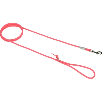 Führleine kleine Hunde pink S Helle pinke Hundeleine mit einem stabilen Metallclip, ordentlich auf einem transparenten Hintergrund aufgewickelt.