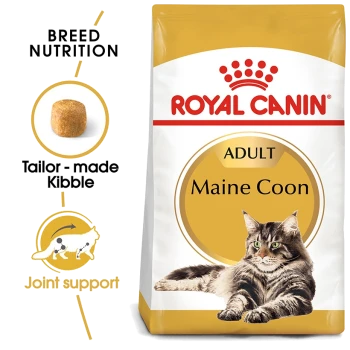 Royal Canin Adult Maine Coon cat food bag featuring a Maine Coon cat image, with text highlighting breed nutrition and joint support.