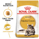 Royal Canin Adult Maine Coon cat food bag featuring a Maine Coon cat image, with text highlighting breed nutrition and joint support.