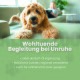 Flasche von ALPHAZOO Care "Seelenruhe" Haustieröl zur Entspannung, mit Text, der ruhige Nächte und entspannte Tage fördert, mit Symbolen für Vorteile.