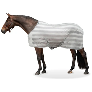 Ein braunes Pferd trägt eine hellgraue gestreifte Decke, steht im Profil mit einem Lederzaumzeug und zeigt sein glattes Fell und seinen kräftigen Körper.