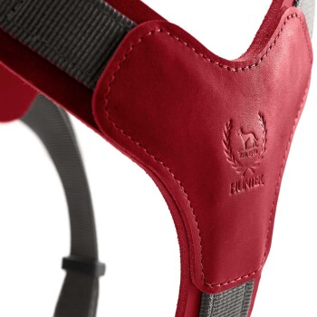 Rotes Hundegeschirr mit einem Lederpatch, das mit "HUNTER" und einem Hundelogo geprägt ist, mit grauen Riemen für einen sicheren Sitz.
