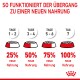 Infografik, die einen 7-tägigen Übergangsplan für Haustierfutter zeigt, mit Details zu den Prozentsätzen des neuen Futters, das gemischt werden soll: 25%, 50%, 75% und 100%.