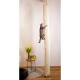 Een speelse grijze tabby kat klimt op een hoge, gestructureerde krabpaal in een gezellige kamer met een kleine tafel met gele tulpen en een decoratief 'liefde' bord.