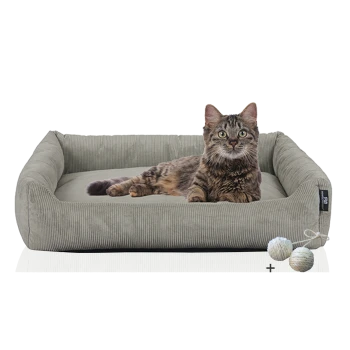 Eine entspannte getigerte Katze, die auf einem weichen, grauen Haustierbett liegt, begleitet von zwei verspielten Wollknäueln.