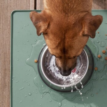 Draufsicht auf einen braunen Hund, der aus einem Edelstahlnapf auf einer grünen Matte trinkt, mit spritzendem Wasser und Futterstücken.