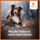 Ein glücklicher braun-weißer Hund sitzt auf dem Boden, mit dem Text "Aus der Natur zu euch nach Hause!" darunter und dem Wildfang-Logo in der Ecke.
