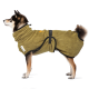 Ein Shiba Inu Hund, der ein grünes, gemütliches Haustierhandtuch mit hohem Kragen und schwarzen Riemen trägt, im Profil vor einem weißen Hintergrund.