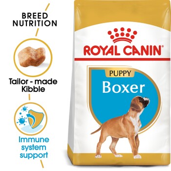 Boxer Puppy 12 kg
