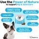 Dog hip and joint treats by NutriPaw with benefits like mobility, joint lubrication, and connective tissue support.