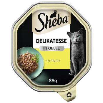 Sheba Delikatesse Katzenfutter in Gelee mit Huhn, 85g, mit einer grauen Katze und einer Schüssel mit Futter und Kräutern.