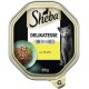 Sheba Delikatesse Katzenfutter in Gelee mit Huhn, 85g, mit einer grauen Katze und einer Schüssel mit Futter und Kräutern.