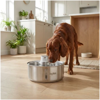 Großer brauner Hund trinkt aus einer Edelstahl-„Dog Mate“-Wasserschüssel in einer hellen Küche.