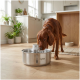 Großer brauner Hund trinkt aus einer Edelstahl-„Dog Mate“-Wasserschüssel in einer hellen Küche.