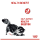 A black and gray cat is playing on a white background, with the text "HEALTH BENEFIT" and "HELPS SUPPORT HEALTHY DIGESTION" prominently displayed.