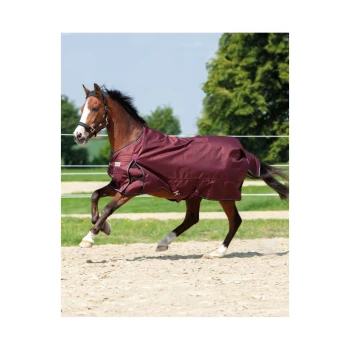 Ein braunes Pferd, das eine kastanienbraune Decke trägt, galoppiert in einer sandigen Arena mit grünen Bäumen im Hintergrund.