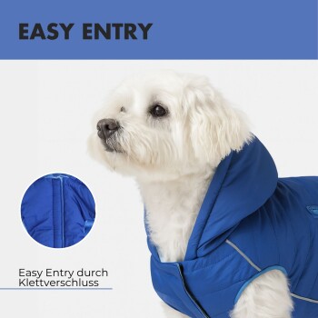 Ein Französischer Bulldogge, die eine blaue Daunenjacke mit Kapuze trägt, mit einer Sprechblase, die sagt: "Die Kapuze kann durch einen Knopf befestigt werden."