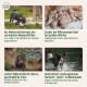 Vierfeldiges Haustiermotiv: Welpe, säugender Wurf, älterer Hund, Hütehund. Text erwähnt Milchersatz, Ergänzungsstoffe und Nährstoffe.