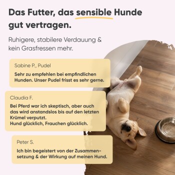 Milo & Mia Haustierfutter-Werbung, die glutenfreie, zuckerfreie und zusatzstofffreie Zutaten hervorhebt, mit Bildern von Fisch, Tomaten und Reis.