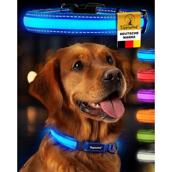 Blaues LED-Hundehalsband von Tierhood, mit einem USB-Ladekabel und Verpackung, mit Farboptionen, die unten angezeigt werden.