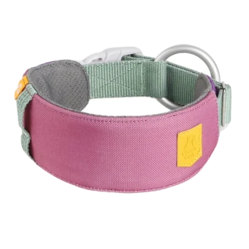Ein stilvolles Haustierhalsband mit einem rosa Stoffband mit einem gelben Logo-Patch, verstellbarem grünen Riemen und einem silbernen D-Ring zur Leinenbefestigung.
