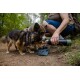 Zwei Hunde, einer mit einem lila Geschirr, trinken Wasser aus einer tragbaren Schüssel, während eine Person aus einer schwarzen Wasserflasche in einem bewaldeten Gebiet gießt.