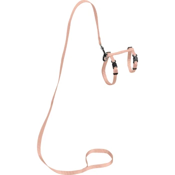 Un harnais pour animal de compagnie rose clair avec des sangles ajustables et une laisse assortie, conçu pour le confort et le contrôle lors des promenades.