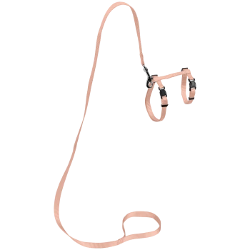 Un harnais pour animal de compagnie rose clair avec des sangles ajustables et une laisse assortie, conçu pour le confort et le contrôle lors des promenades.