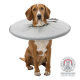 Ein Hund, der einen weichen, grauen Schutzkragen trägt, sitzt aufrecht. Das Bild enthält ein Tierschutzkonformitätsabzeichen in der unteren rechten Ecke.