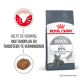 Royal Canin Dental kattenvoer zak, met een grijze kat, beweert de vorming van tandsteen met tot 59% te verminderen in 28 dagen.