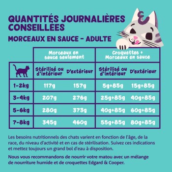 Graphique montrant les recommandations alimentaires quotidiennes pour les chats adultes en fonction de leur poids et de leur stérilisation, avec une illustration de chat de dessin animé.