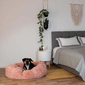 Ein schwarz-brauner Hund entspannt sich in einem rosa Haustierbett auf einem Holzboden in der Nähe eines grauen Bettes und eines kleinen Beistelltisches mit Pflanzen und einer Kerze.