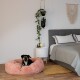 Ein schwarz-brauner Hund entspannt sich in einem rosa Haustierbett auf einem Holzboden in der Nähe eines grauen Bettes und eines kleinen Beistelltisches mit Pflanzen und einer Kerze.