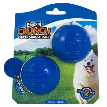 Chuckit! Crunch Super Crunch Ball mittel 2er-Pack blaue Hundespielzeuge mit weißem Hund auf Gras.