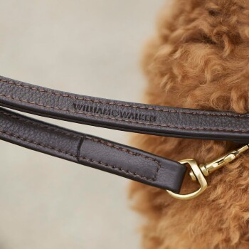 Nahaufnahme einer braunen Lederhundeleine mit dem geprägten Text "WILLIAM & WALKER", die gegen das Fell eines flauschigen, hellbraunen Hundes ruht.