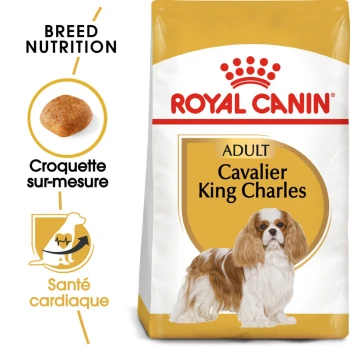Sac de nourriture pour chien Royal Canin pour Cavalier King Charles adulte, présentant une image de chien, une nutrition spécifique à la race et des avantages pour la santé cardiaque.