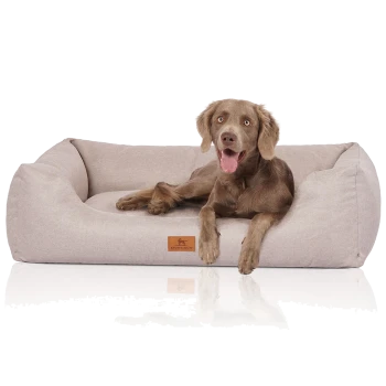Ein brauner Hund entspannt sich auf einem hellbeigen Haustierbett mit einem Holzschild, das mit "KRUFFEEWUFF" beschriftet ist. Das Bett hat ein weiches, plüschiges Design.