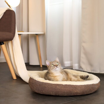 Getigerte Katze mit grünen Augen liegt entspannt in einem runden braunen Plüsch-Tierbett auf dunklem Boden neben einem Stuhl und hellen Vorhängen.