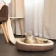 Getigerte Katze mit grünen Augen liegt entspannt in einem runden braunen Plüsch-Tierbett auf dunklem Boden neben einem Stuhl und hellen Vorhängen.