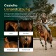 Reiter auf einem Pferd neben vier eingesetzten Fotos von Pferdeteilen, beschriftet 'Hals', 'Rücken', 'Hinterhand', 'Vorderhand' und Überschrift 'Gezielte Unterstützung'.