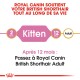 Guide Royal Canin pour les chats British Shorthair, indiquant "Chaton" pour 2 mois et "Adulte" pour 12 mois, avec une note de transition.