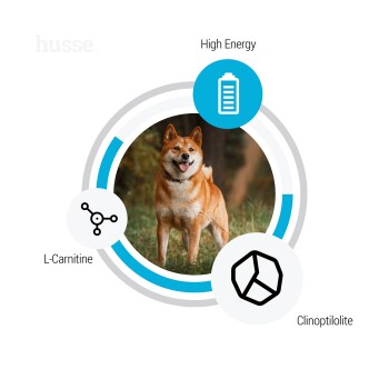 Ein glücklicher Shiba Inu Hund ist in der Mitte abgebildet, umgeben von Symbolen für "Hohe Energie", "L-Carnitin" und "Clinoptilolit."