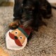 Ein kleiner Hund mit dunklem Fell spielt mit einem festlichen, Santa-förmigen Spielzeug auf einem weichen, strukturierten Teppich.